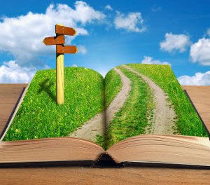 Author Website or Book Website: What Strategy Should You Choose?